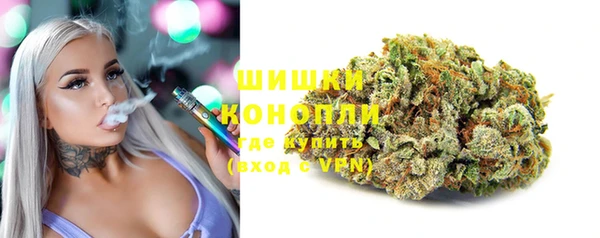 экстази Бикин