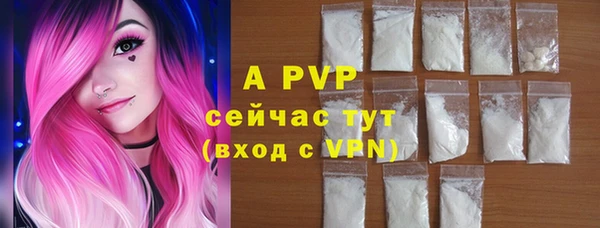 экстази Бикин