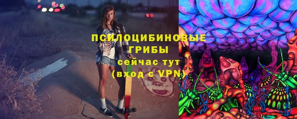 экстази Бикин