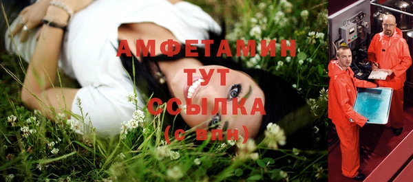 экстази Бикин