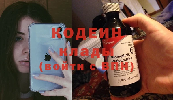 крисы Билибино